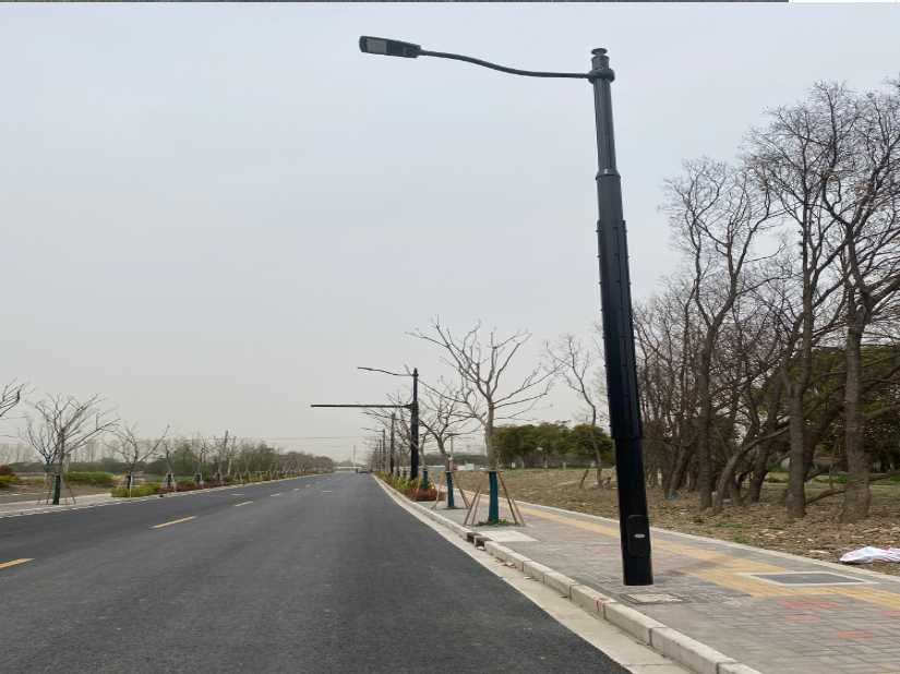安陆市上海综合杆 太阳能路灯工程